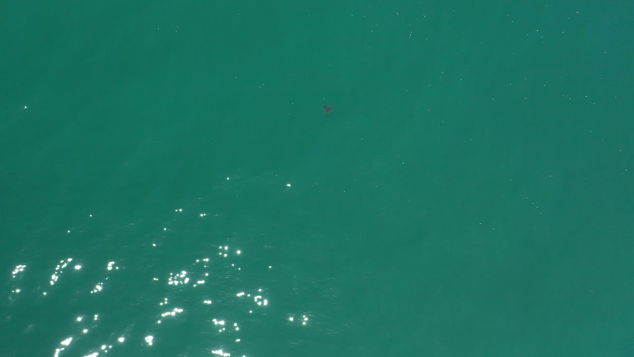 Overhead view of blue-green ocean water in Los Cabos, Mexico, with bright reflections near the lower left and no visible people.