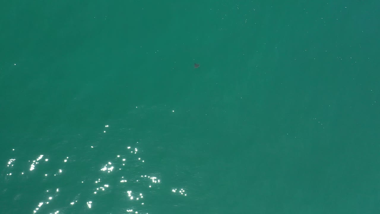 Blue-green Los Cabos ocean surface with a concentrated cluster of white sun glints near the lower center and no visible people.