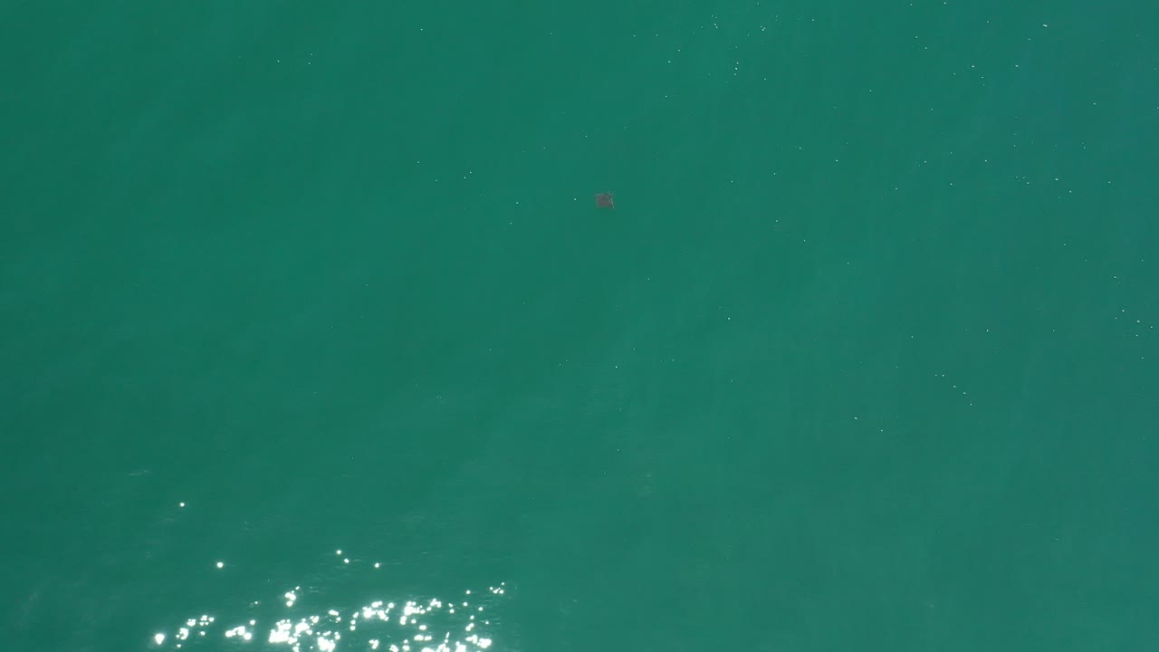 Teal ocean surface with sunlight glinting on the right.