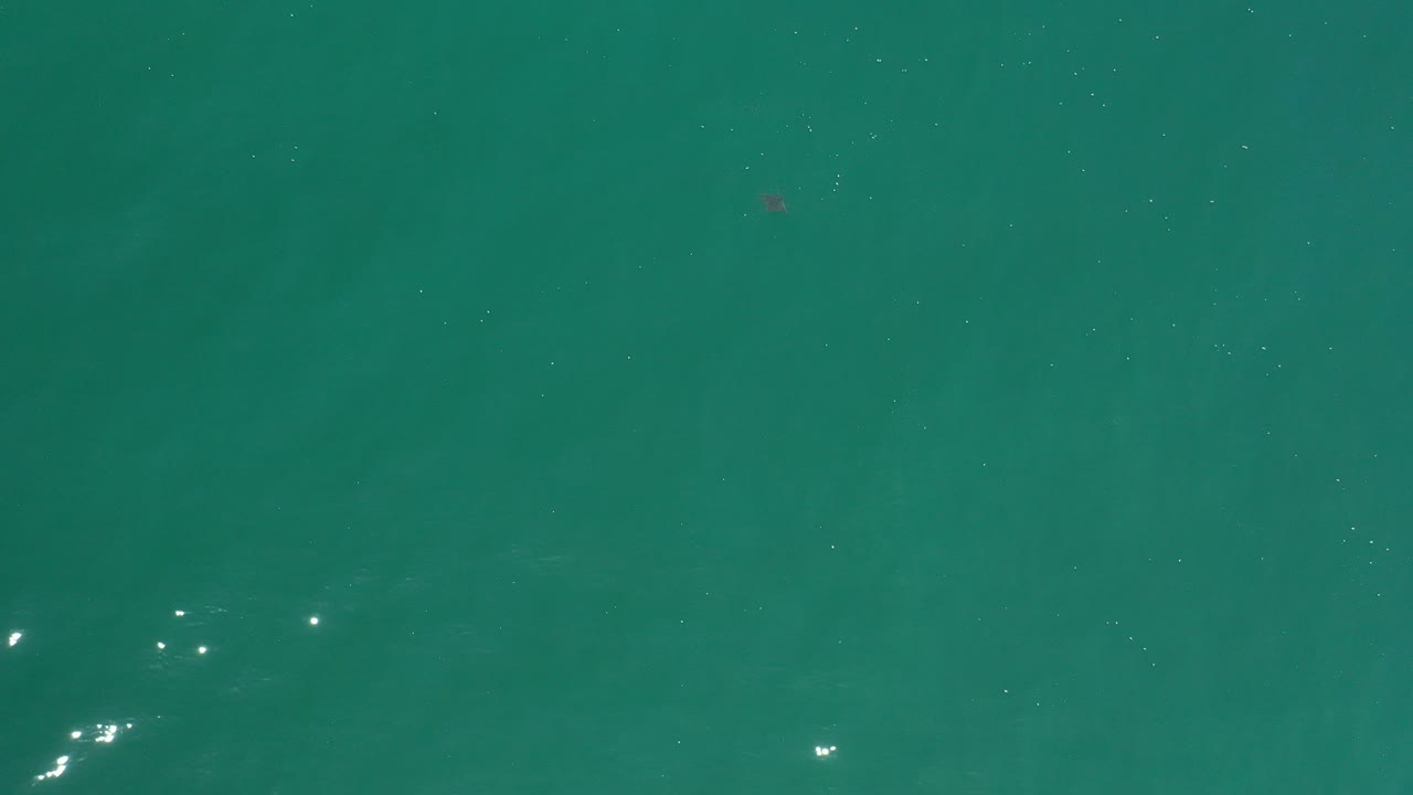 Opening overhead view of turquoise water in Los Cabos, Mexico, with small sun reflections and a faint dark underwater shape near the center, no visible people.