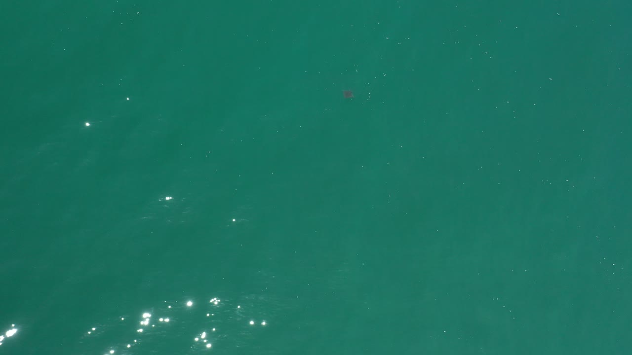 Open green-blue sea with scattered highlights and a subtle submerged shape.