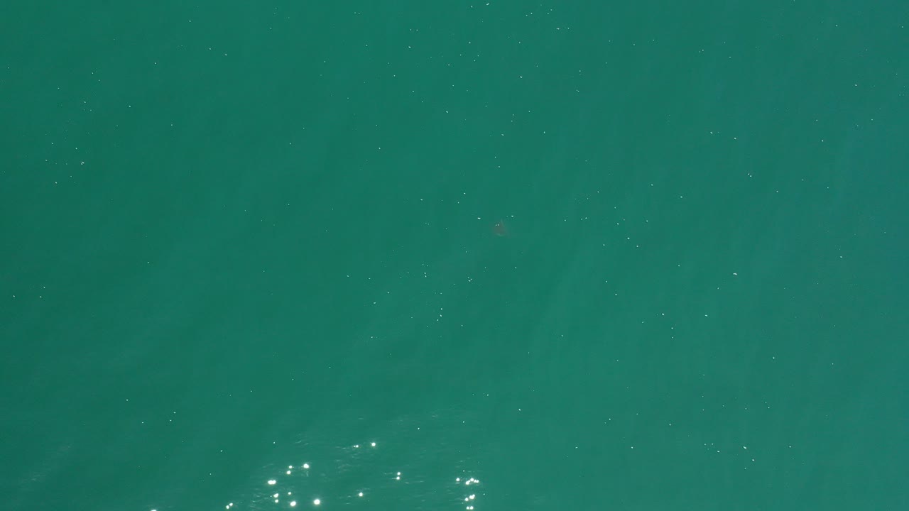 Overhead view of blue-green ocean water in Los Cabos, Mexico, with scattered bright reflections near the lower left and no visible people.
