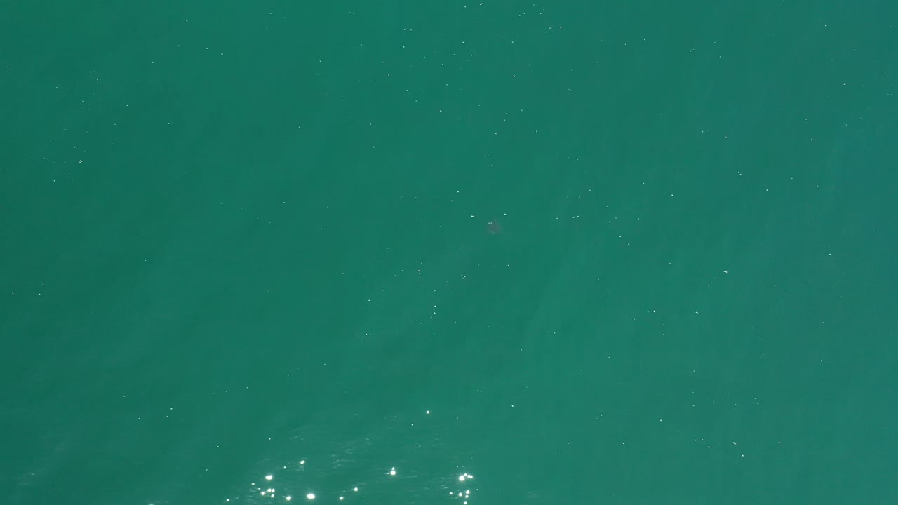 A top-down Los Cabos water frame shows mostly uniform teal ocean surface with subtle ripples, small specks, and no visible people.