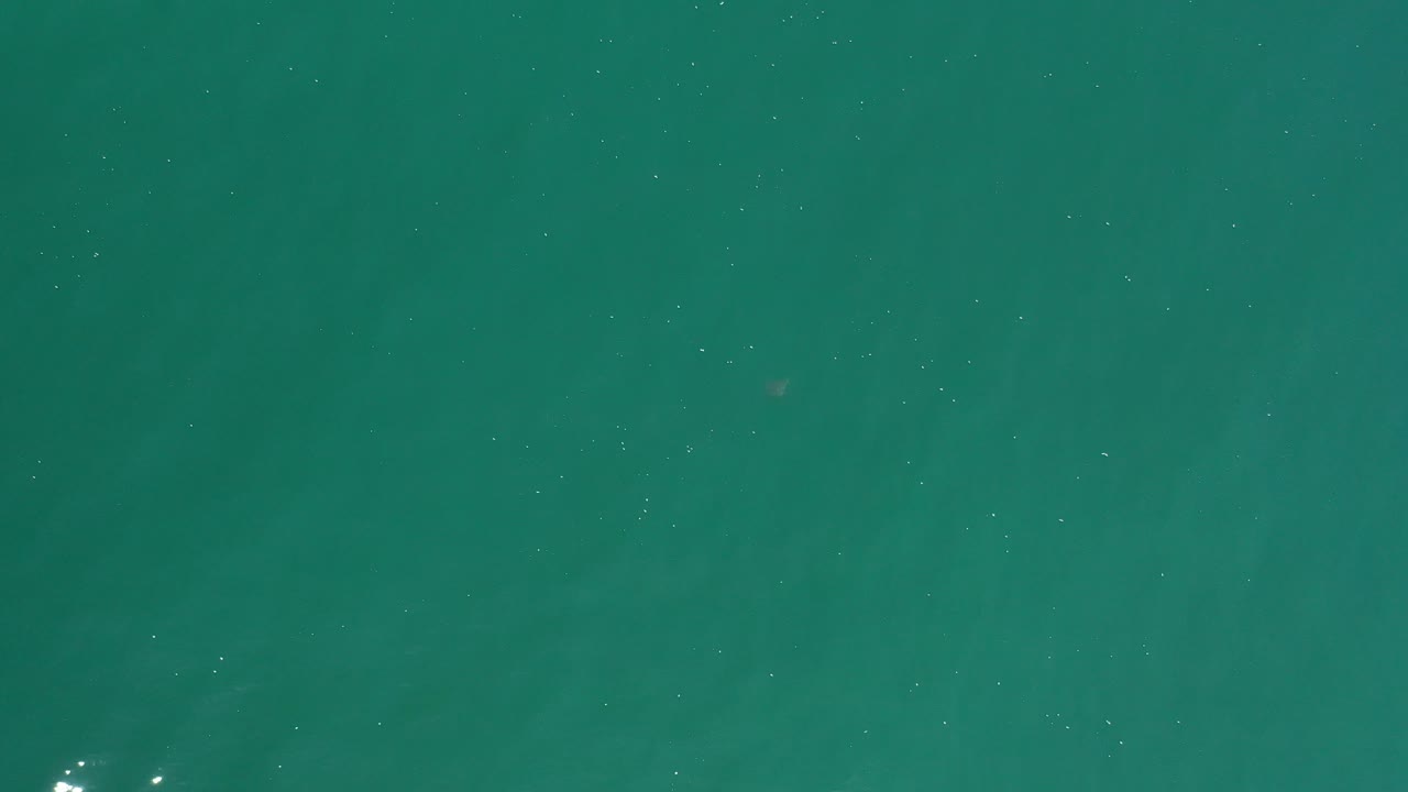 Teal water with bright reflection clusters.