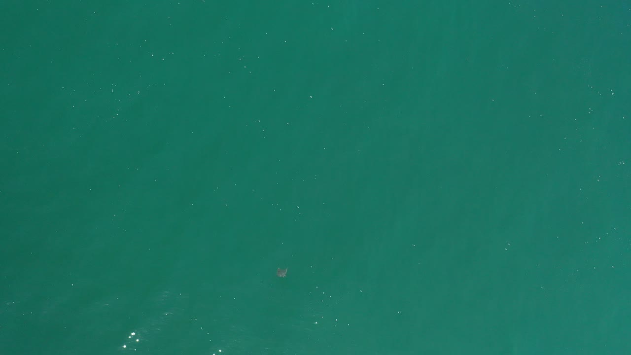 Overhead greenish-blue water with faint ripples and small sun flecks.