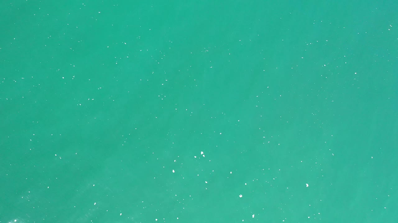 Green ocean surface in Los Cabos fills the frame with tiny white specks, gentle ripples, and no visible people.