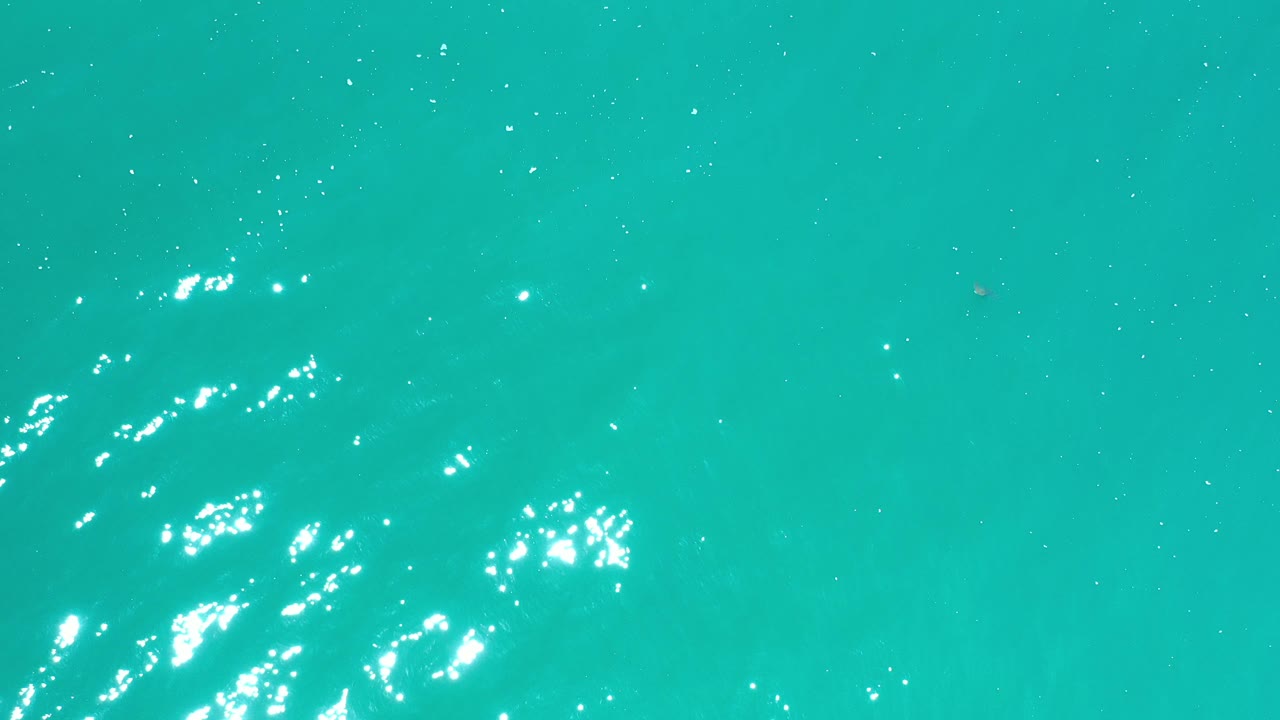 Overhead view of aquamarine water in Los Cabos with bright sun reflections clustered near the left side and no visible people.