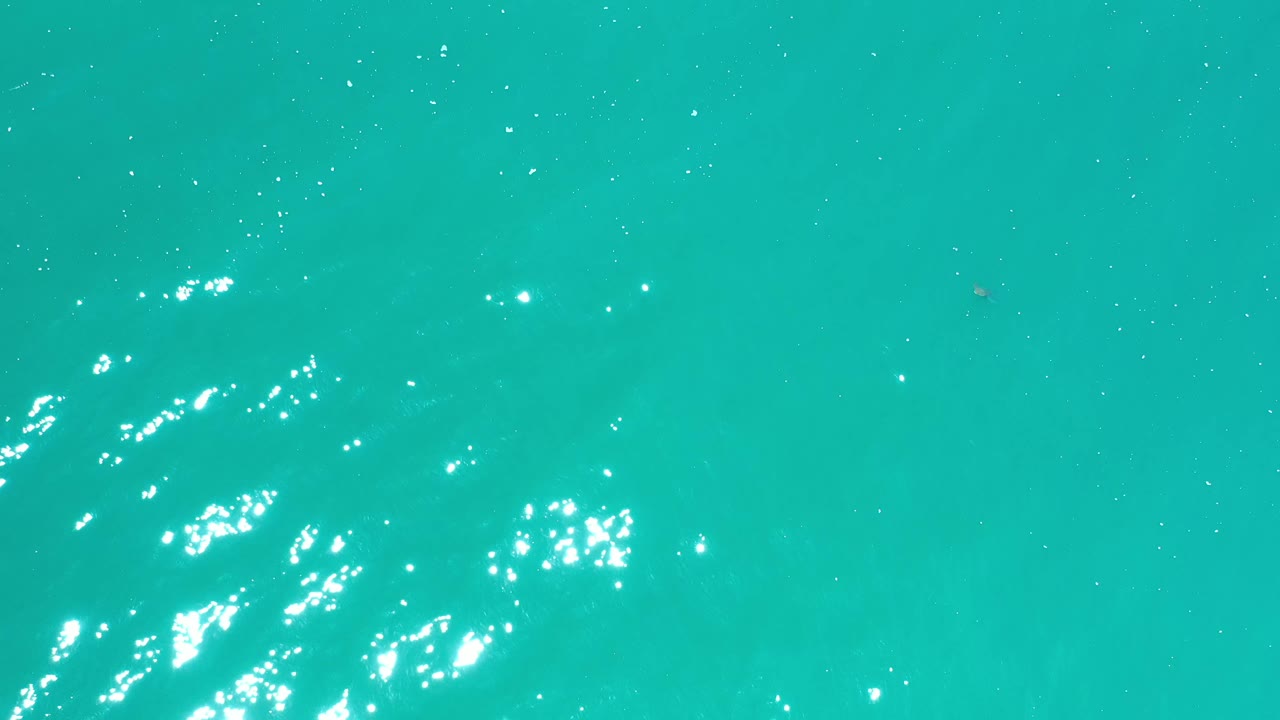 Aquamarine Los Cabos water fills the frame with a denser cluster of white sun glints near the lower center and no visible people.