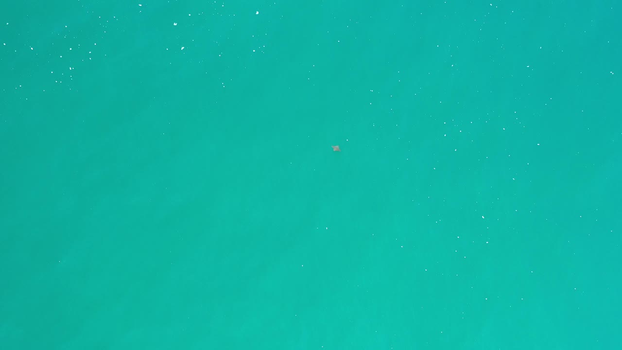 Smooth teal ocean water with scattered white specks.