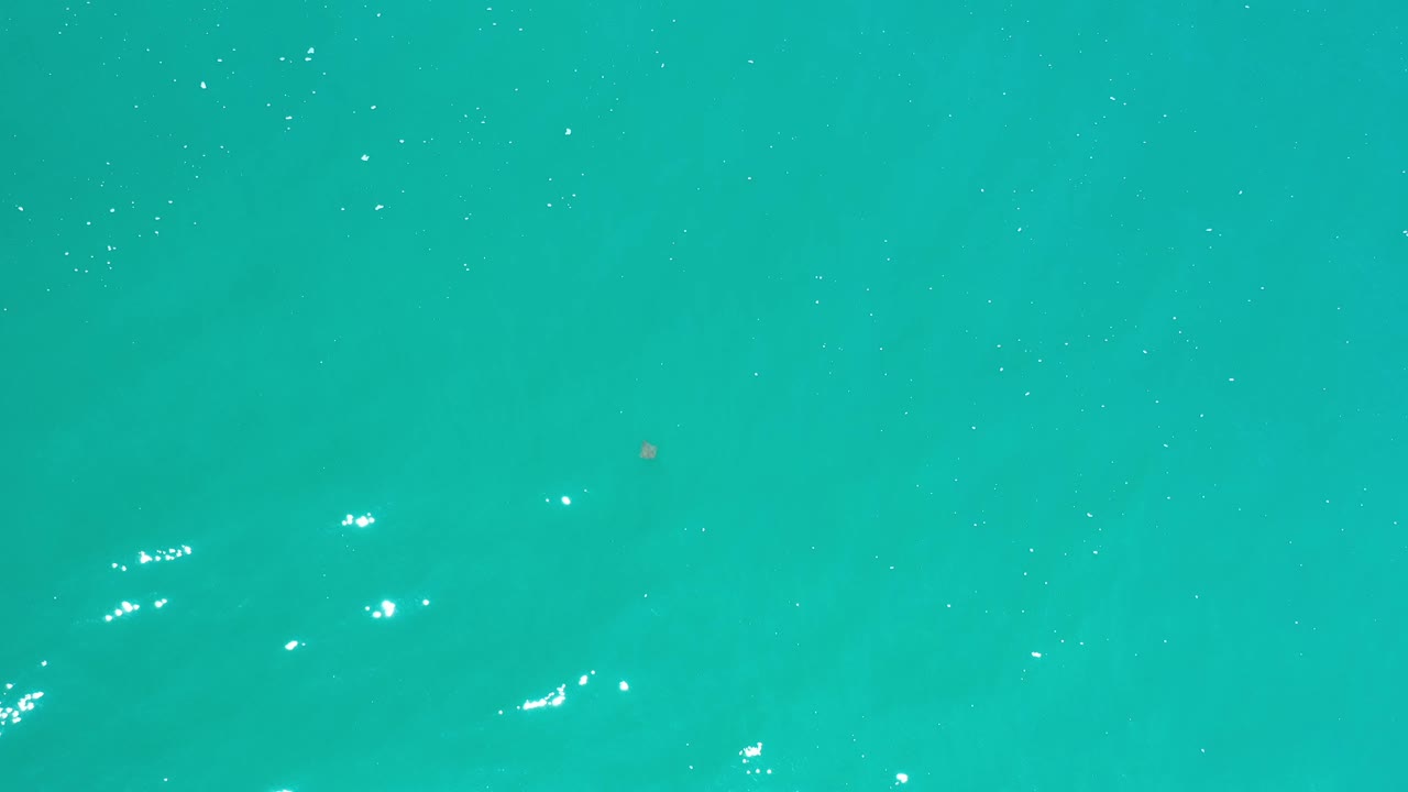 Bright aqua sea water in Los Cabos, Mexico shows white reflection flecks across the surface, subtle ripple patterns, soft darker areas underneath, and no visible people.