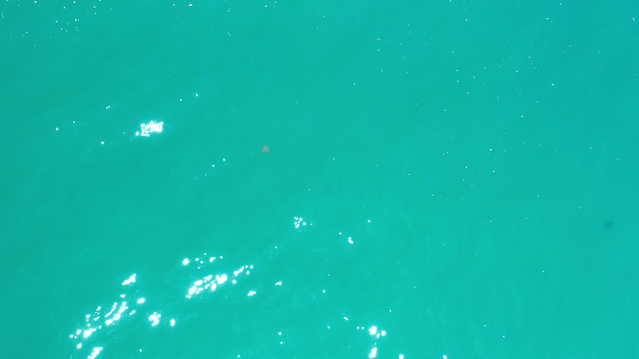 Turquoise water in Los Cabos fills the frame with scattered sun glints near the lower left and no visible people.