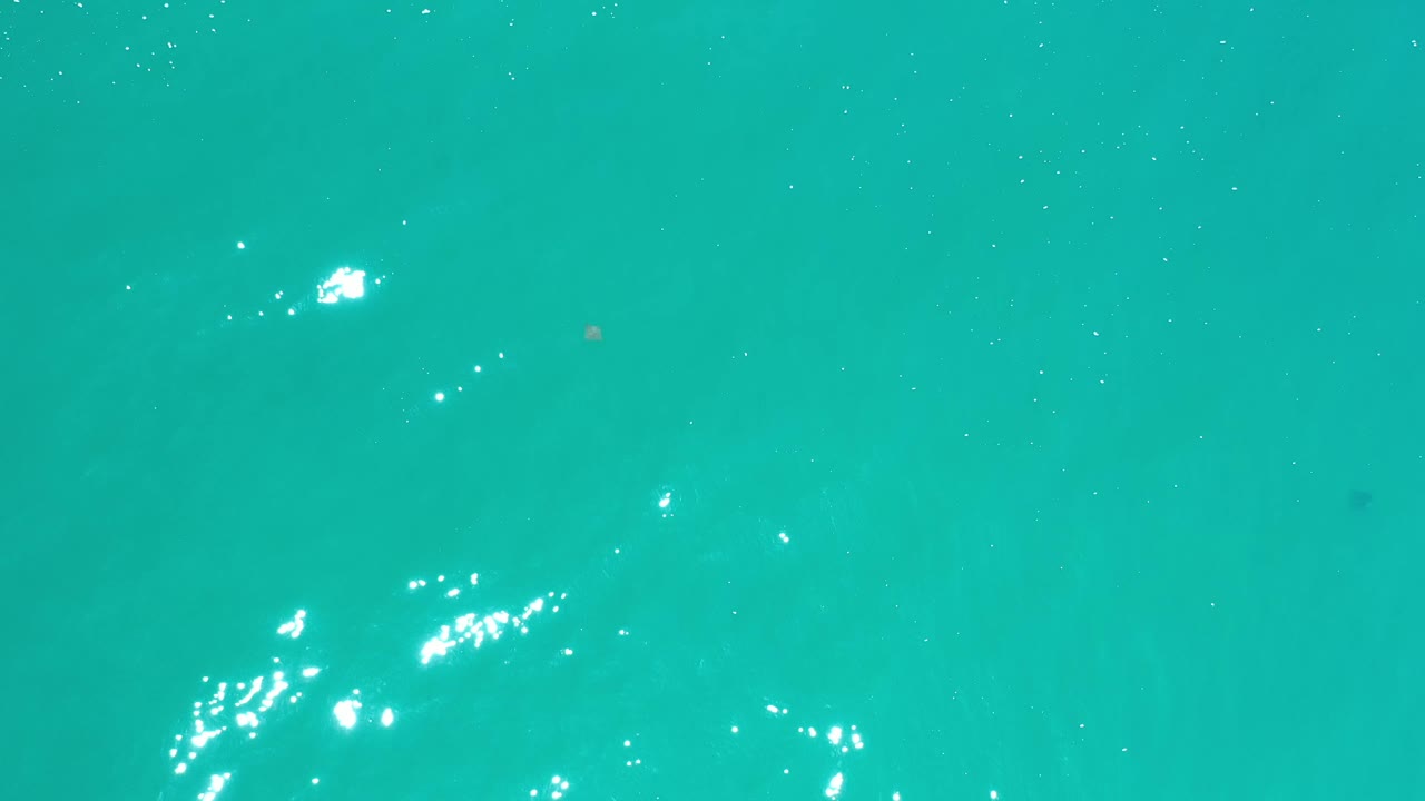 Blue green Los Cabos water fills the frame, with faint underwater color bands and a small cluster of sparkle near the center right, no visible people.
