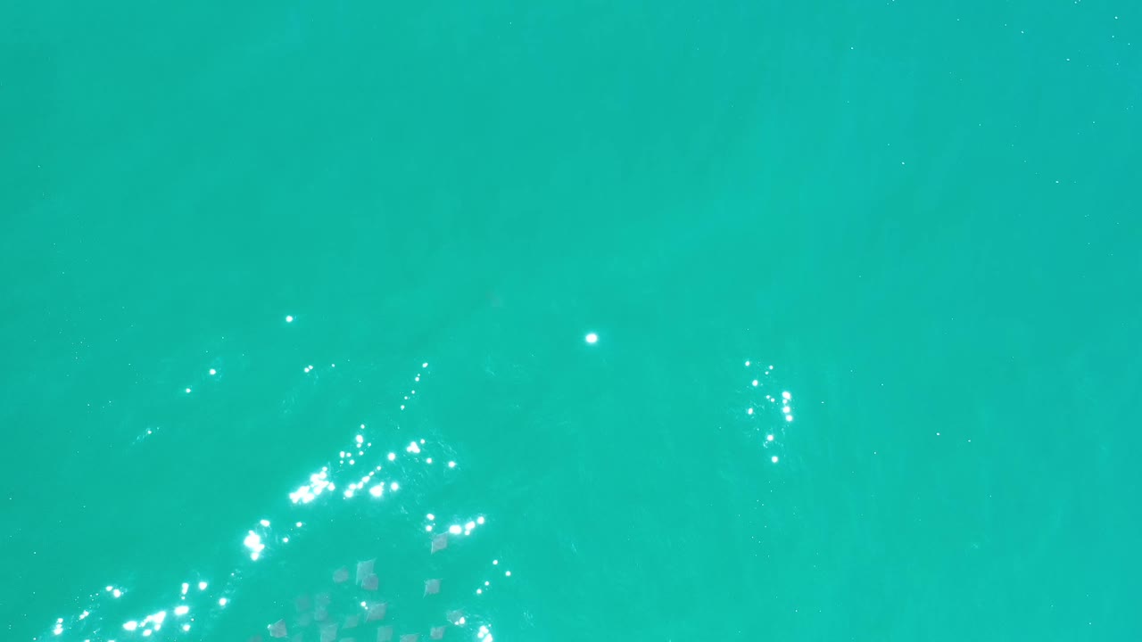 Overhead blue-green water in Los Cabos with scattered white glare and muted darker shapes below the surface, no visible people.