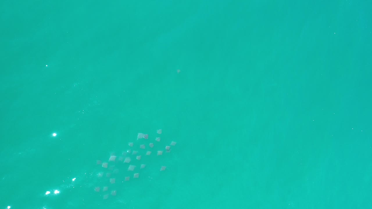Overhead view of turquoise water in Los Cabos with small ripples, soft sun glints, faint darker submerged texture, and no visible people.