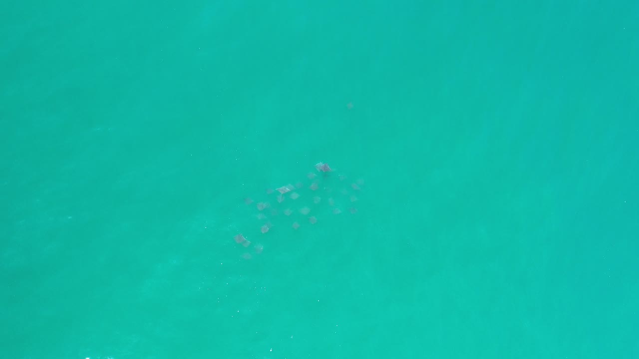 Overhead view of turquoise ocean water in Los Cabos, Mexico, with a faint clustered shadow below the surface near the upper left and no visible people.