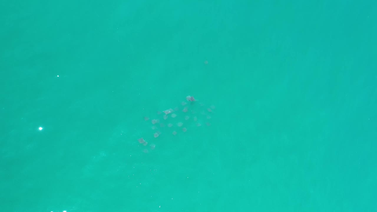 Aerial-looking Los Cabos ocean frame with bright turquoise water, a small blurry underwater cluster near the top center, and no visible people.