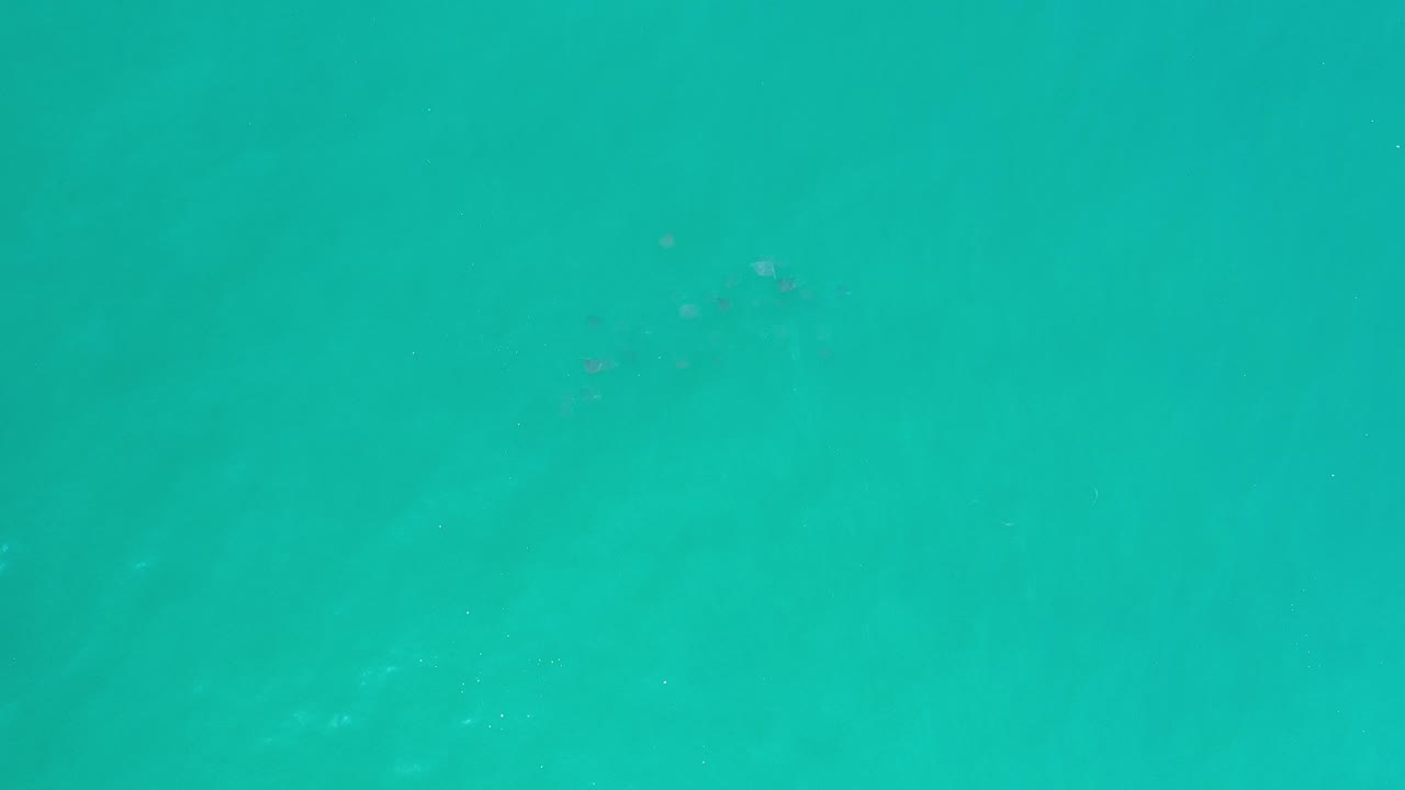 Overhead view of turquoise water in Los Cabos, Mexico with faint marine shapes below the surface, scattered sun glints, and no visible people.