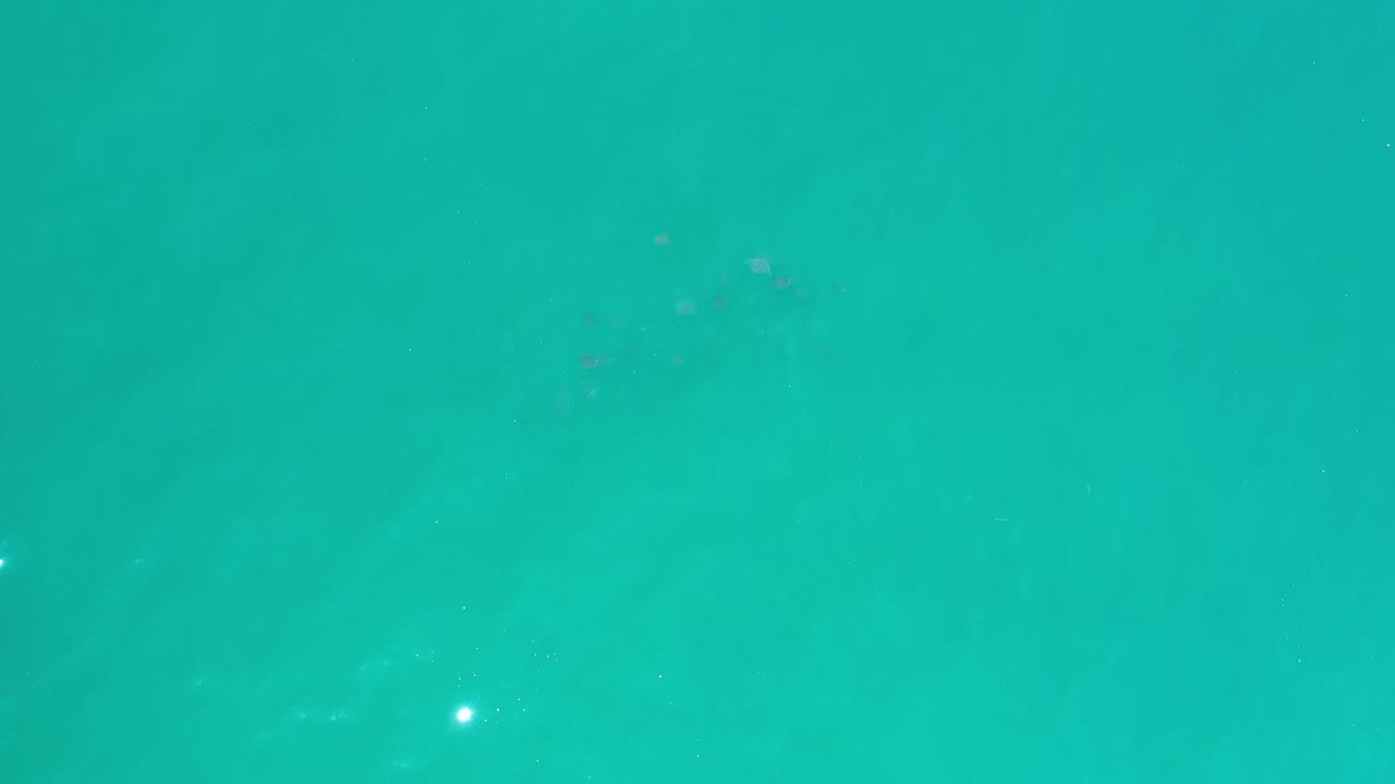 Turquoise Los Cabos water fills the frame with small white reflections, soft darker patches below the surface, and no visible people.