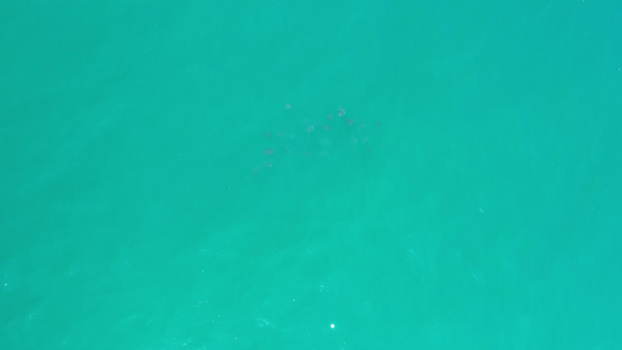 Open turquoise water with subtle underwater forms and a few sparkle points.