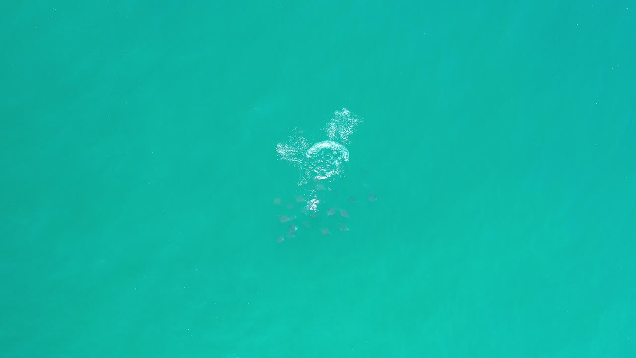 Aerial view of turquoise water in Los Cabos, Mexico, with faint ripples, a small surface bubble patch near the upper left, and no visible people.