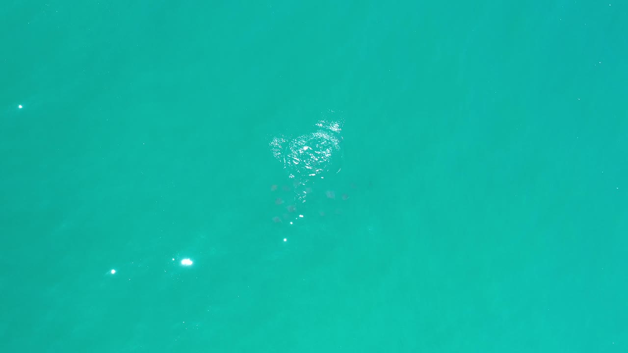 Turquoise water with scattered sun glints and a faint bubble patch at the upper right.