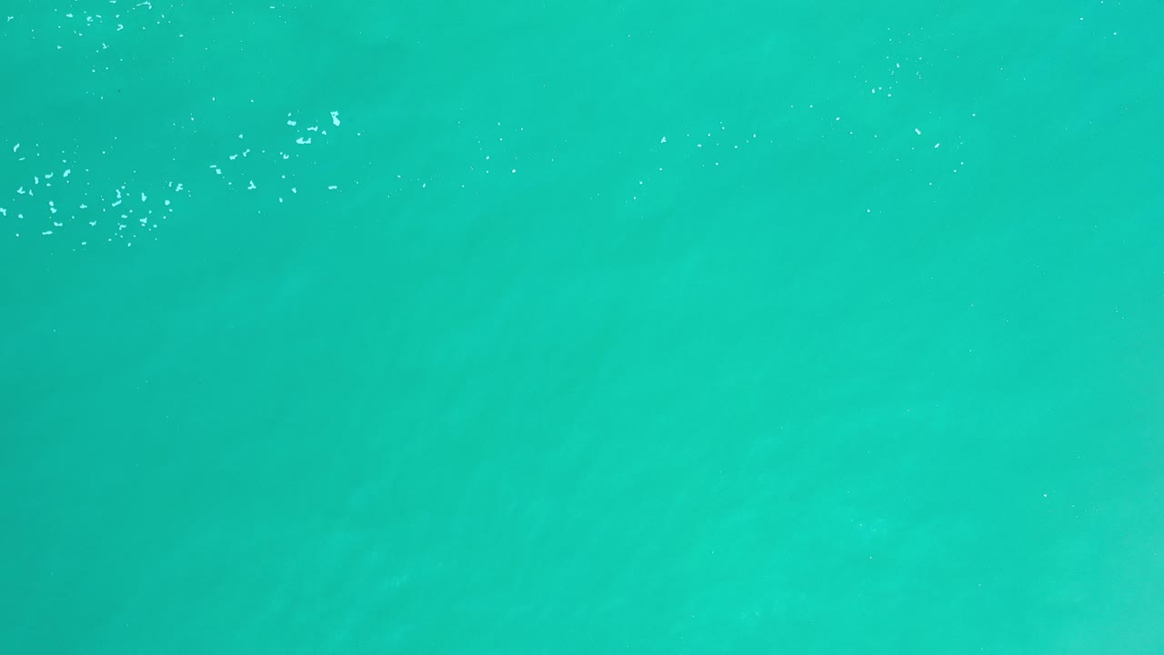 Turquoise ocean surface with scattered white foam flecks.