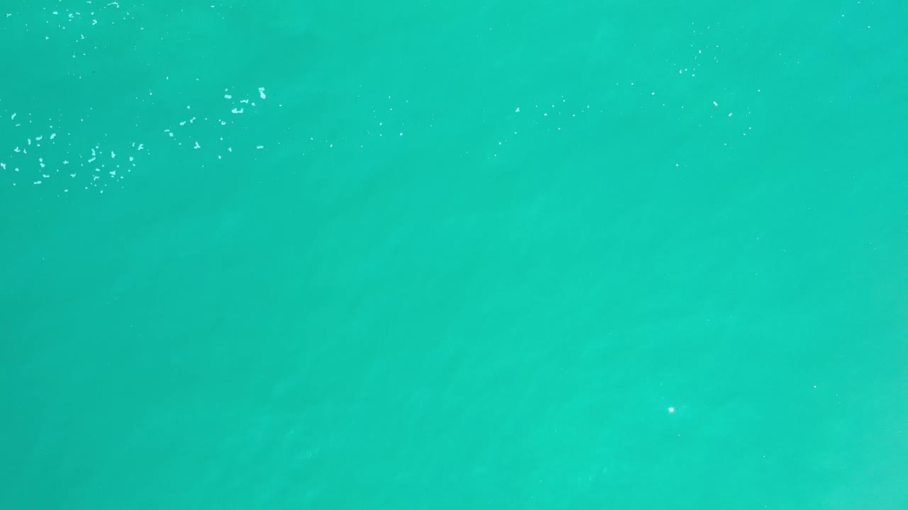 Overhead Los Cabos ocean frame with clear blue-green water, faint darker patches under the surface, and no visible people or shoreline.