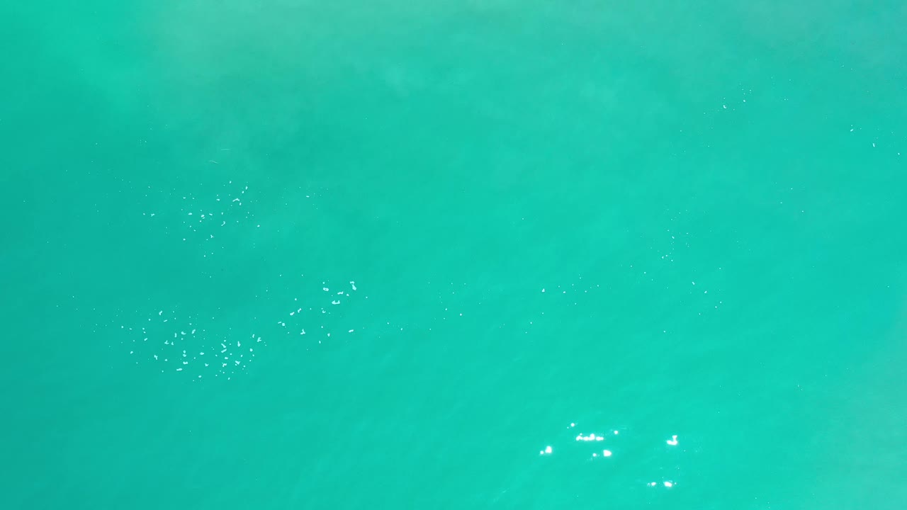 Top-down view of clear turquoise ocean in Los Cabos, Mexico, with white sparkle highlights spread across the surface and no visible people.