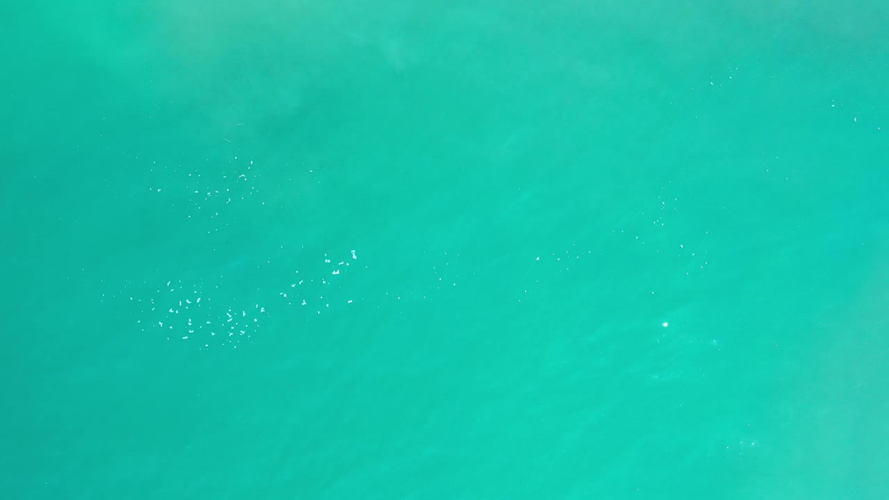 Bright aqua ocean surface with faint darker patches beneath the water.