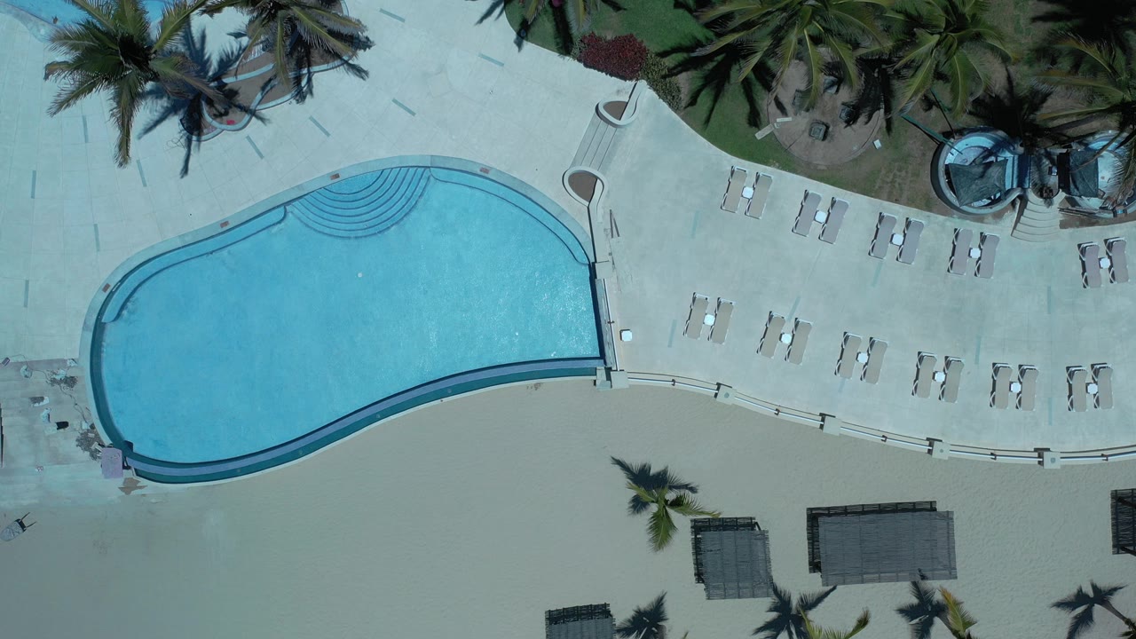 Top-down view of a curved pool beside lounge chairs and palm trees.