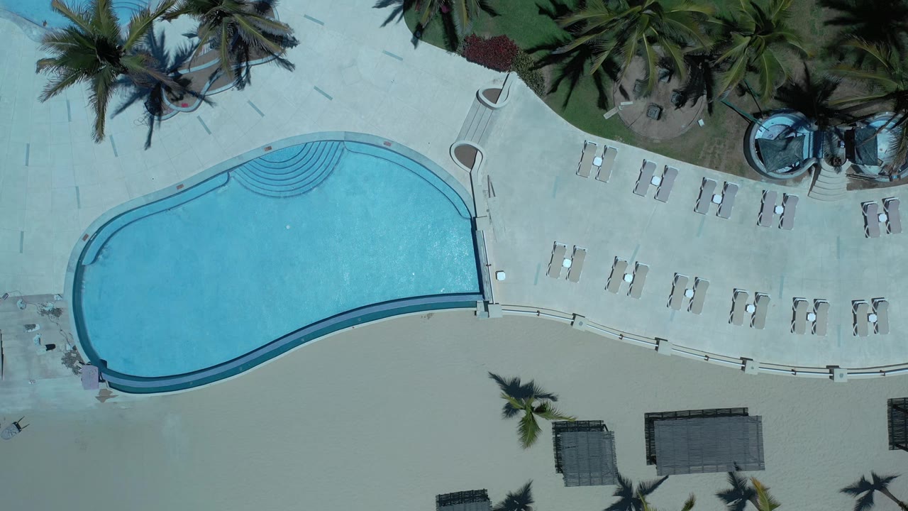 Top-down Los Cabos frame with the curved pool shifted left, rows of lounge chairs on a pale deck, palm trees, shaded cabanas, and no visible people.