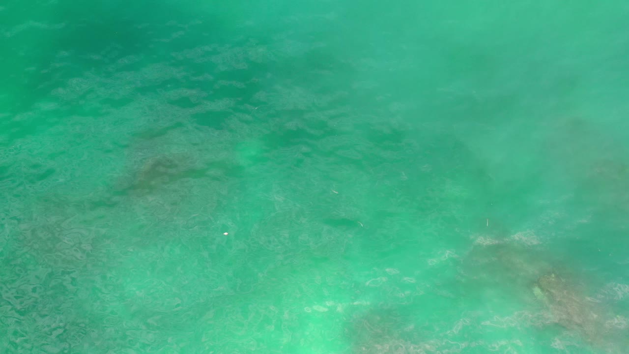 Green-blue water seen from above with rippled surface and murky patches.
