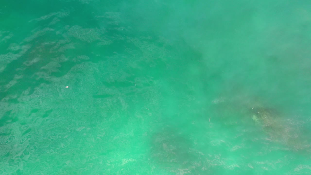 Blue-green ocean surface with ripples and faint darker patches.