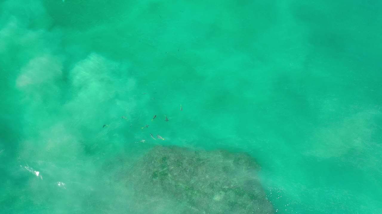 Overhead view in Los Cabos, Mexico of turquoise water and pale cloudy flow crossing a dark submerged rock, with no visible people.