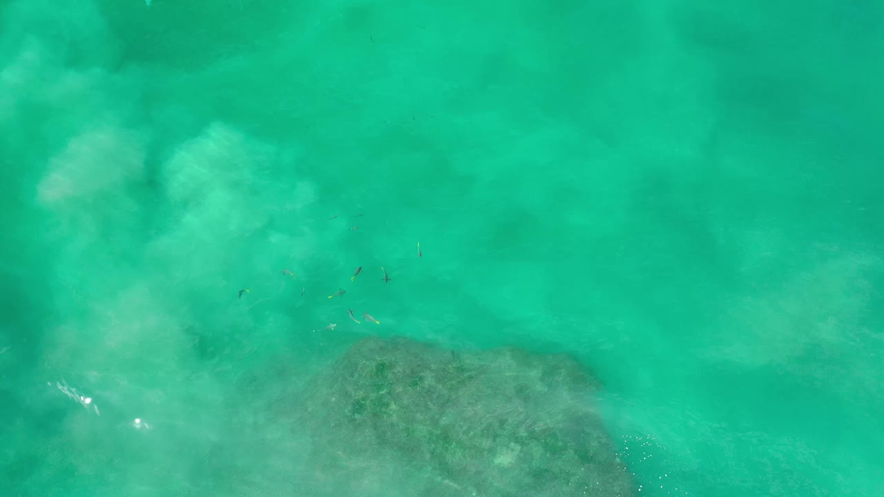 Overhead Los Cabos water frame with a larger milky plume spreading across the upper area while a dark rock remains visible below, with no visible people.