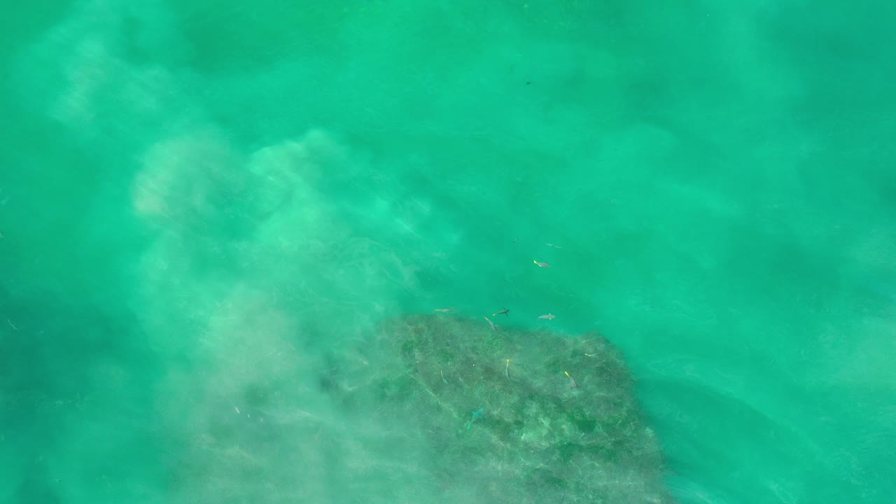 Overhead view of green ocean water washing over a large submerged rock in Los Cabos, Mexico, with no visible people.