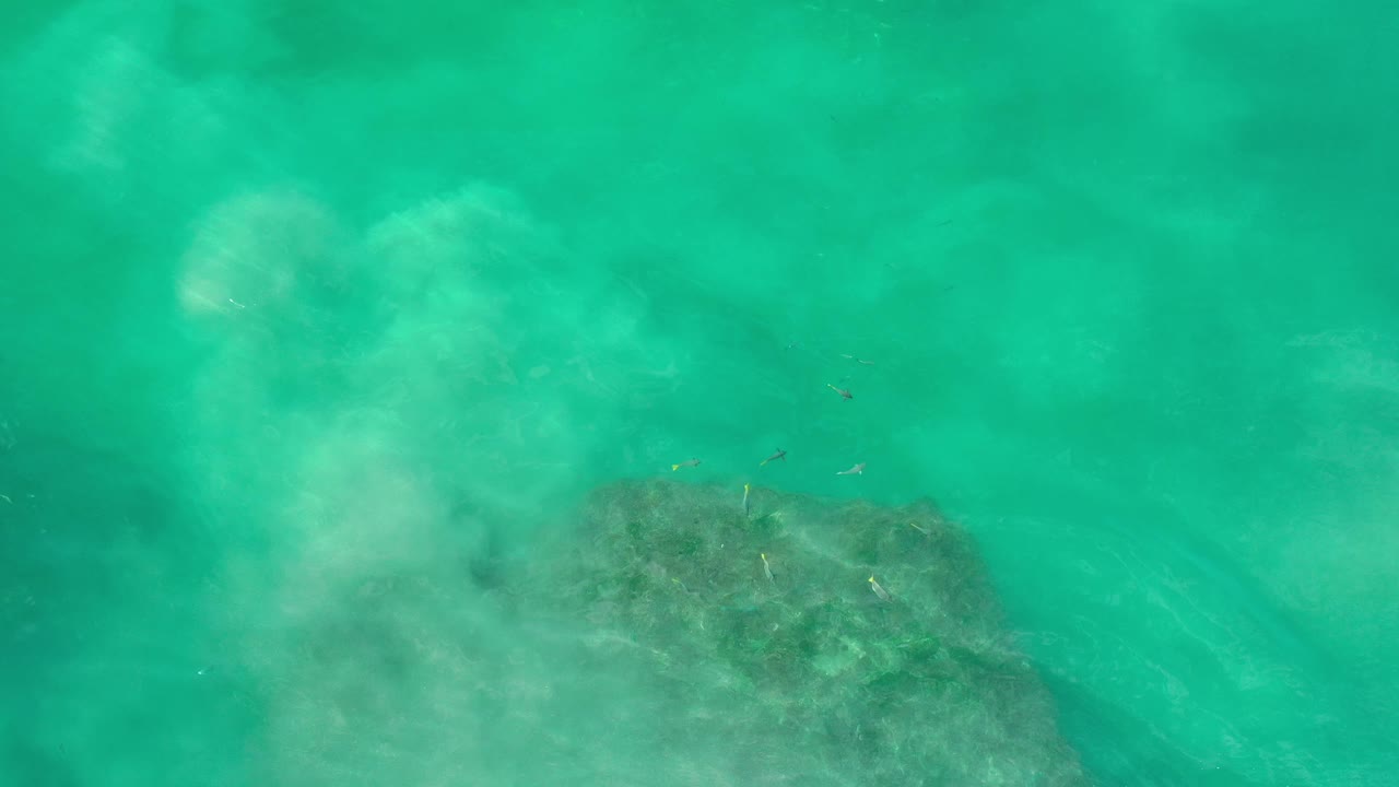 Overhead green sea with rock below