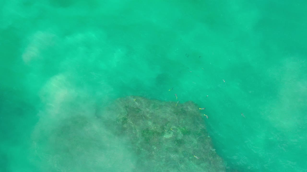 Overhead view in Los Cabos, Mexico, with turquoise water and pale foam passing over a dark submerged rock near the lower left, no visible people.