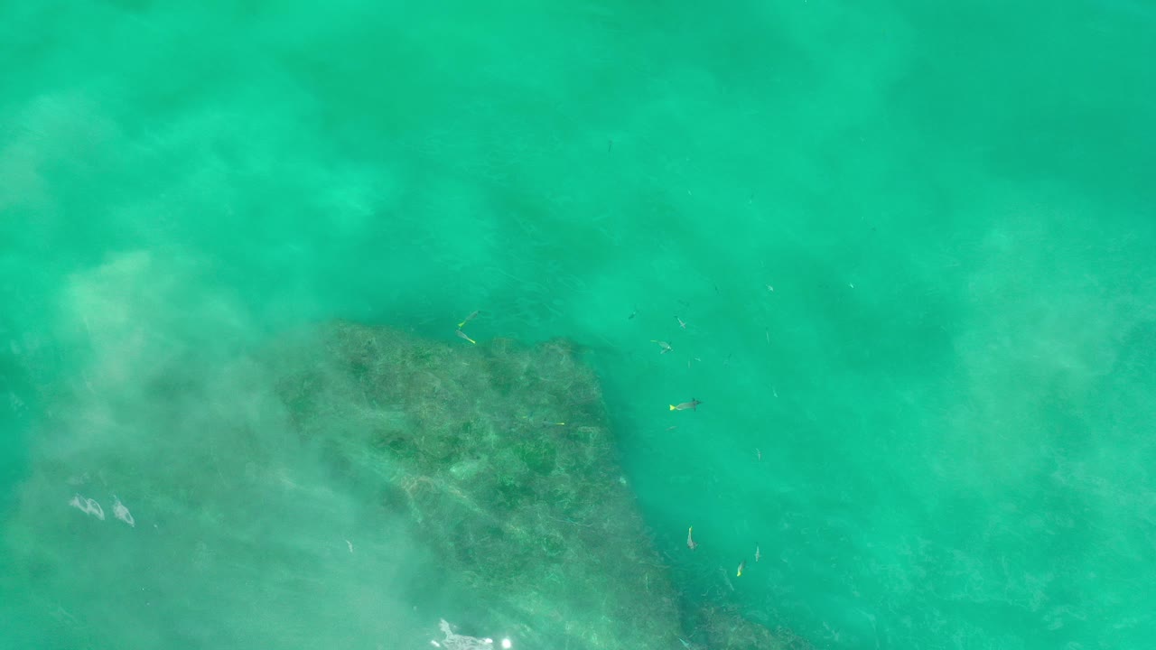 Overhead view in Los Cabos, Mexico of clear teal water covering a dark submerged rock as pale sand clouds drift across it, with no visible people.