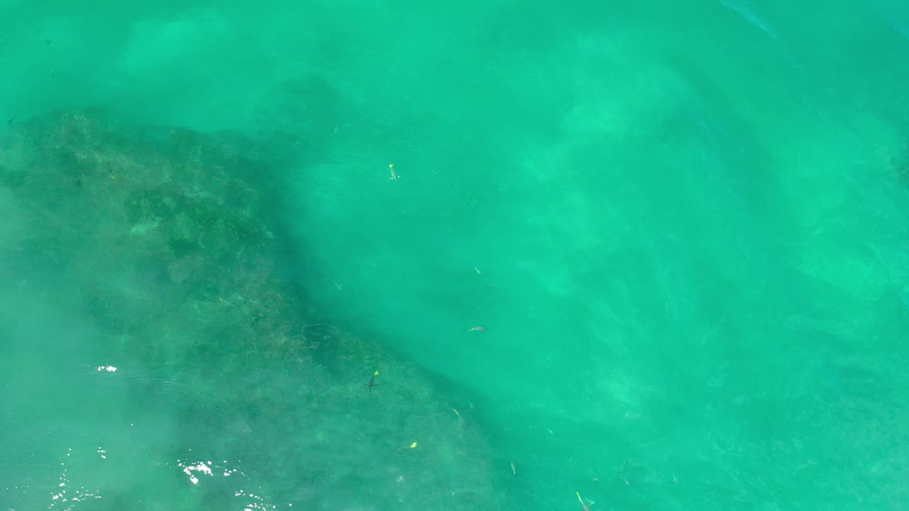 Reef patch beneath clear green water and small highlights.