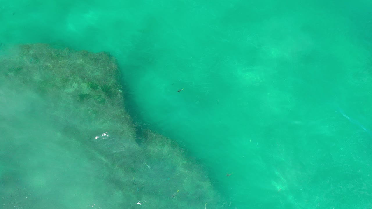 Overhead view of turquoise-green shallow water over dark submerged rocks in Los Cabos, Mexico, with soft haze and no visible people.