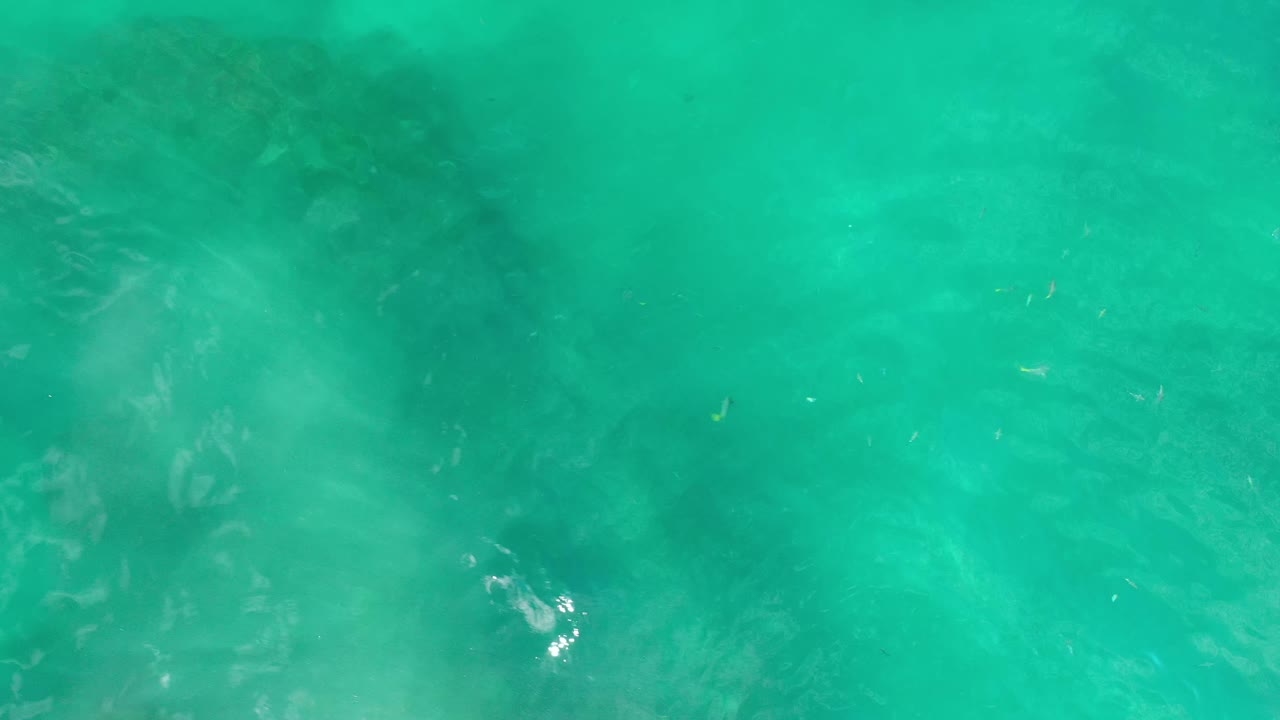 Underwater Los Cabos frame with tiny fish spread through green water and a darker rock mass showing beneath the surface haze, with no visible people.