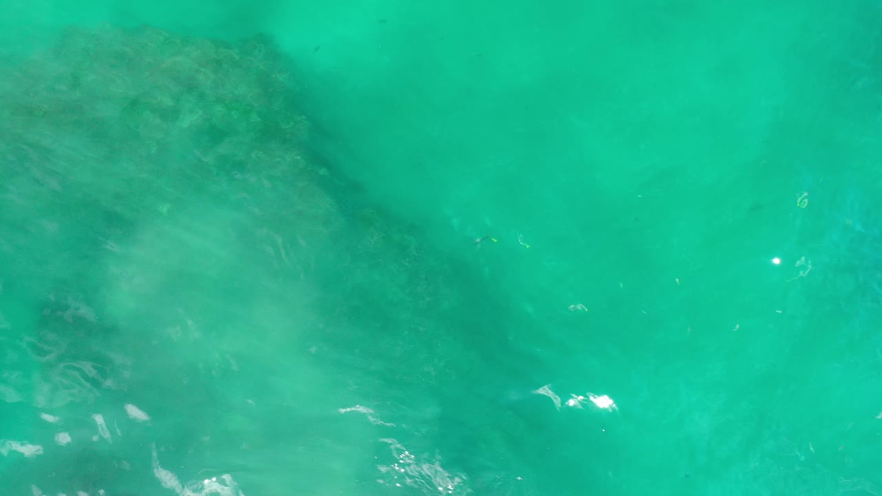 Los Cabos underwater frame showing turquoise-green water, scattered tiny fish, pale reflected light, and a faint rocky bottom, with no visible people.
