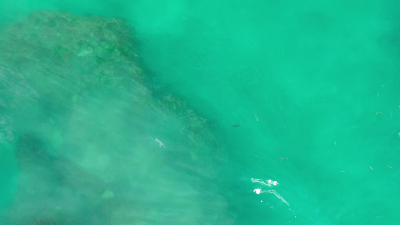 Rock edge under green water with a few tiny fish nearby.