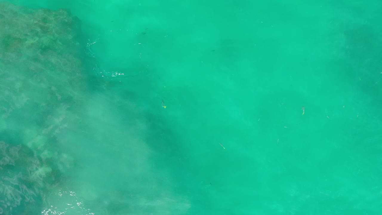 Overhead frame of green-blue shallow water in Los Cabos, Mexico, with darker underwater forms spreading from the left side and no visible people.