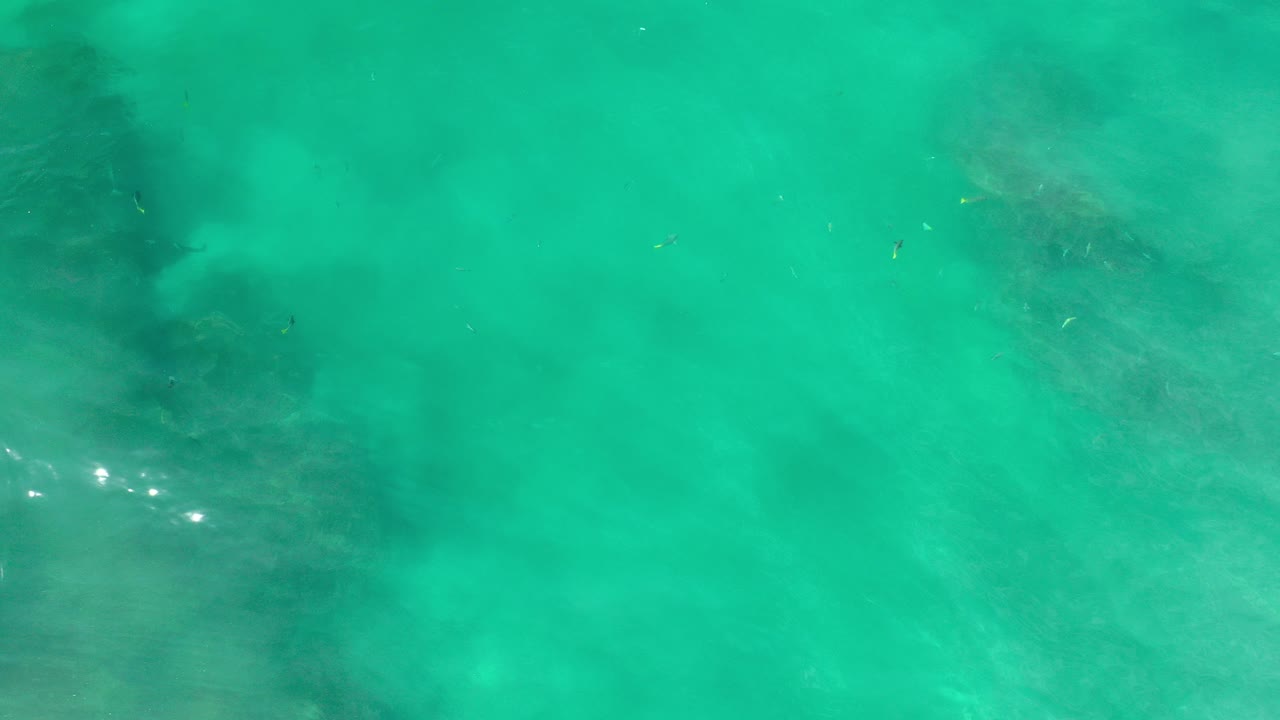 Overhead view of turquoise Los Cabos water with dark whale-like forms beneath the surface, faint ripples, and no visible people.