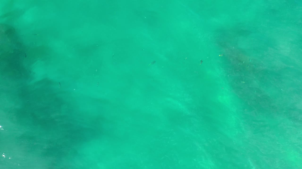 Clear turquoise water with a broad dark form below the surface.