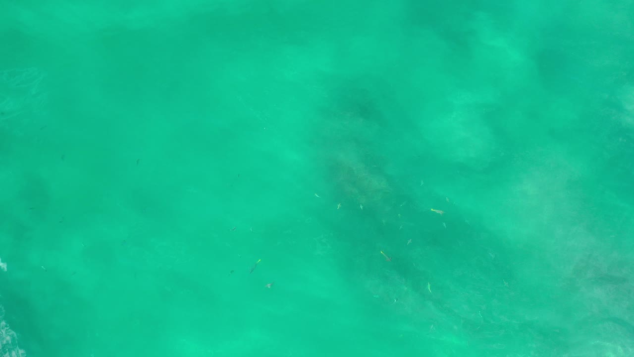 Overhead turquoise ocean water in Los Cabos, Mexico with soft pale shapes below the surface and no visible people.