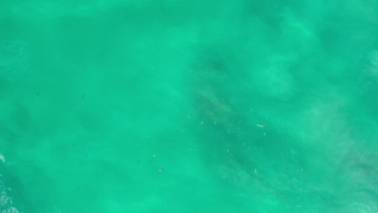 Clear green-blue ocean surface in Los Cabos, Mexico with faint darker patches under the water and no visible people.