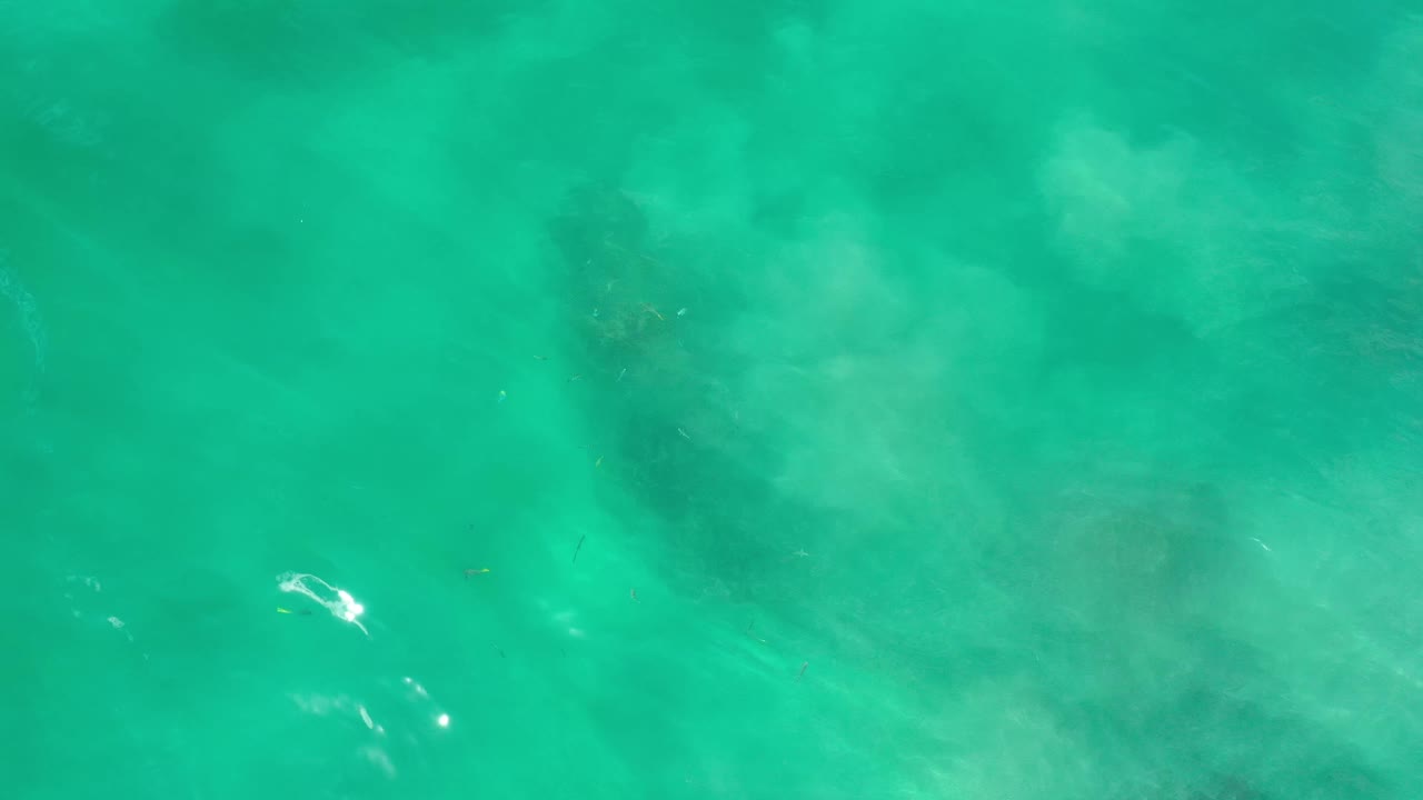 Green Los Cabos water fills the frame with hazy darker patches below the surface, tiny pale specks near center, and no visible people.